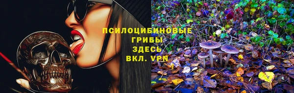 apvp Навашино
