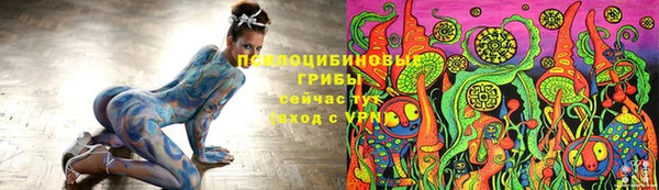 apvp Навашино
