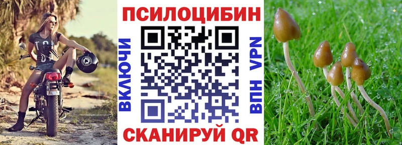 Псилоцибиновые грибы GOLDEN TEACHER  МЕГА онион  Тихвин 