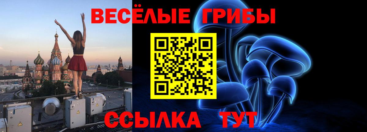 Тихвин  Галлюциногенные грибы Cubensis  Вход с VPN  Галлюциногенные грибы Psilocybe 