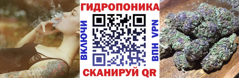 Каннабис конопля  Тихвин 